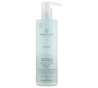 Paul Mitchell Awapuhi Wild Ginger Intensive Treatment 500 ml