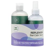 Paul Mitchell Tea Tree Lavender Mint Duo Pack Shampoo 300 ml + Leave-in Spray 200 ml