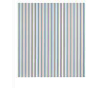 Paul Moorhouse Richard Shiff Bridget Riley (Copertina rigida)