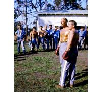 Paul Newman Come Lucas 'Luke' Jackson Poster Stampa 24x20"