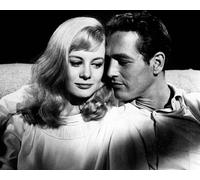Paul Newman Sweet Bird Of Youth (1962) [1042208] Foto 8x10 O Poster