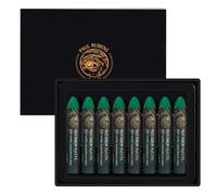 Paul Rubens Pastelli a olio 8 colori verde medio HaiYa Artist Soft Pastelli a olio vividi e cremosi, accessori d'arte per artisti, principianti, studenti, pittura artistica