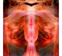 Paul Schutze The Annihilating Angel Or the Surface of the World (Vinyl LP)