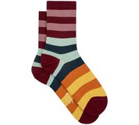 Paul Smith Sock Charmay Stripe Burgundy/borde Taglia: OS | Calzini Outlet | Donna | Marrone