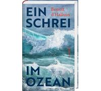 Paul Sourzac Benoit d`Halluin Ein Schrei im Ozean (Copertina rigida)