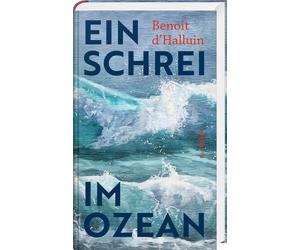 Paul Sourzac Benoit d`Halluin Ein Schrei im Ozean (Copertina rigida)
