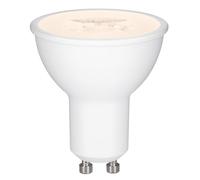 Paulmann 28577 Lampadina LED riflettore modulo LED lampada da incasso Choose dimmerabile 3 livelli 6,5W 2700K GU10