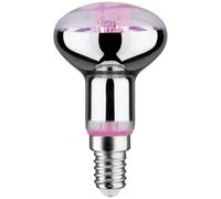 Paulmann 28734 Lampadina LED per crescita piante 230 V E14 4 W Ambra 1 pz.