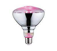 Paulmann 28737 Lampadina LED luce per piante lampadina da 6,5 Watt illuminazione luce 1300 K E27