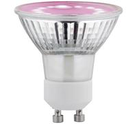 Paulmann 28974 Lampadina LED per crescita piante 230 V GU10 3.5 W Ambra 1 pz.