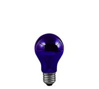 Paulmann 590.70 Agl 75 W E27 59070, Vetro, 75 W, Luce Nera, 9.5 x 55 x 9.5 cm