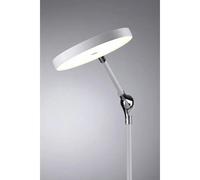 Paulmann 79884 NUMIS Lampada da tavolo LED LED (monocolore) 11 W Bianco