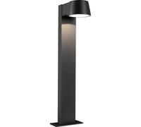 Paulmann 94454 Capea Lampada da terra per esterni a LED LED (monocolore) LED a