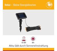Paulmann 94877 - Ghirlanda solare Aurinka IP44, 3000 K, 60 x 3 lm, colore: Nero
