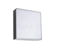 Paulmann 94842 Lampada per pareti Esterne LED Smart Home Zigbee Azalena rilevatore di Movimento IP44 250x97mm Tunable Warm 8,5W 700lm Antracite 8.5 W