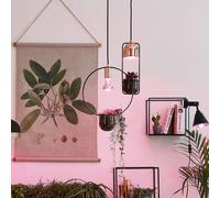 Paulmann Go Green GU10 3,5W Lampadina per piante Paulmann