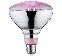 PLM 28737 - Faretto a filamento a LED Grow Green E27, 6,5 W, 200 lm, 1300 K.