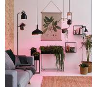 PLM 28737 - Faretto a filamento a LED Grow Green E27, 6,5 W, 200 lm, 1300 K.