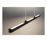 Paulmann Lento 79885 LED-Pendelleuchte LED 40.5W nero (matt)