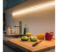 Paulmann MaxLED 500 strip IP20 bianco caldo 1m 70581