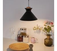 Paulmann Pauleen Lampadario Pendelleuchte Mystical Delight Nero Legno LED 5W E27