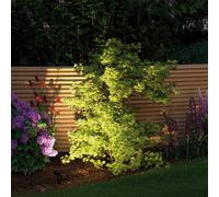 Paulmann Plug & Shine fatto con picchetto Sting 3000K Paulmann