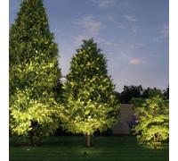 Paulmann Plug & Shine Lampada a incasso 14cm 3.000K 38° Paulmann