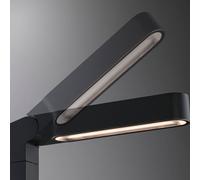 Paulmann Plug & Shine lampione a LED Ito, verticale, IP65 Paulmann