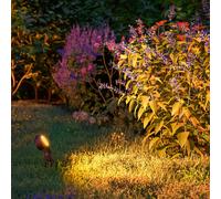 Paulmann 94728 Plug & Shine LED per esterni faretto da giardino Sting delicata per gli insetti IP67 2200K 6,3W antracite rotonda dimmerabile