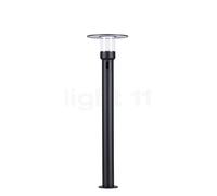 Paulmann Sienna Paletto luminoso LED, antracite , Vendita di giacenze, Merce nuova, Imballaggio originale