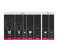 Paulmann specchiata LED E27 6,5W 827 rame Paulmann