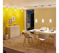 Paulmann URail Adattatore per binario Zigbee 3.0, cromo opaco Paulmann