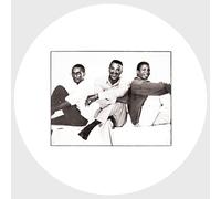 pause-it's just amazing 12" vinyl