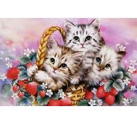 Pavemlo 5D Diamond Painting Kit Completo Gattino, DIY Pittura Diamante Art Kit Animale, Strass Arte Creazione di Mosaico Murale Artigianale per la Decorazione della Parete di Casa 30x40cm
