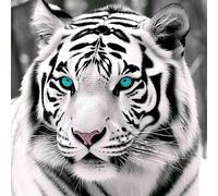 Pavemlo 5D Diamond Painting Kit Completo Tigre Bianca Azzurri, DIY Pittura Diamante Art Kit Animale, Strass Arte Creazione Mosaico Murale Artigianale per la Decorazione della Parete di Casa 30X30 cm