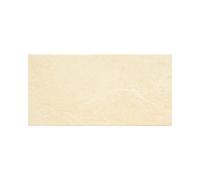 Pavimento Da Esterno 15x30 In Gres Porcellanato Tevere Beige - 3,24 MQ