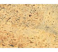 Pavimento in sughero spess. 4mm piastrelle 30x60cm finitura vernice da incollare