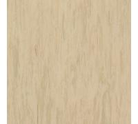 Pavimento pvc omogeneo STANDARD PLUS Tarkett sp. 2mm rotolo 2x23mt € 17,95/mq