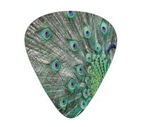 Pavone che mostra le piume e le ali aperte,12 pezzi di plettri per chitarra, 3 plettri di diverso spessore per chitarra acustica, basso, ukulele