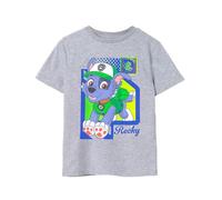 Paw Patrol Boys T-Shirt Grigia | Rocky Pup Design | Autentica Merce T-Shirt Comoda Ed Elegante per Giovani Eco-Amici