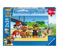Paw Patrol - Cani eroici 1 St