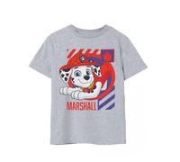 Paw Patrol Grigio Character T-shirt a maniche corte Ragazzi