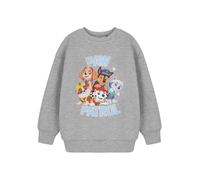 Paw Patrol Grigio College Felpa Unisex Bambini