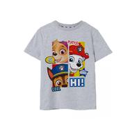 Paw Patrol Grigio Peekaboo T-shirt a maniche corte Ragazzi
