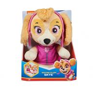 PAW Patrol peluche coccola per dormire - mix di personaggi