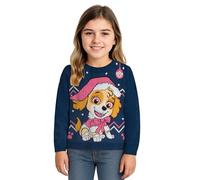 Paw Patrol Winter Sweater for Girls - Skye Winter Knitted Pullover Sweatshirt Ugly Sweater Blue/Pink (DE/NL/SE/PL, Numeric, 110, 116, Regular, Blue/Pink)