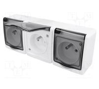 PAWBOL D.3114GGG/1 Connettore