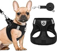 PAWCHIE Set di pettorina e guinzaglio per cuccioli, pettorina per cani in morbida rete, riflettente e regolabile, per cani di piccola e media taglia, gatti e cuccioli