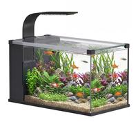 PawHut Acquario in Vetro Temperato 24L, Acquario Completo Piccolo Trasparente co