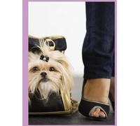 Pawprint Notebook: A Cute Dog-Themed Journal for Daily Writing, Notes, Planning, Creativity, and Pet Lovers
